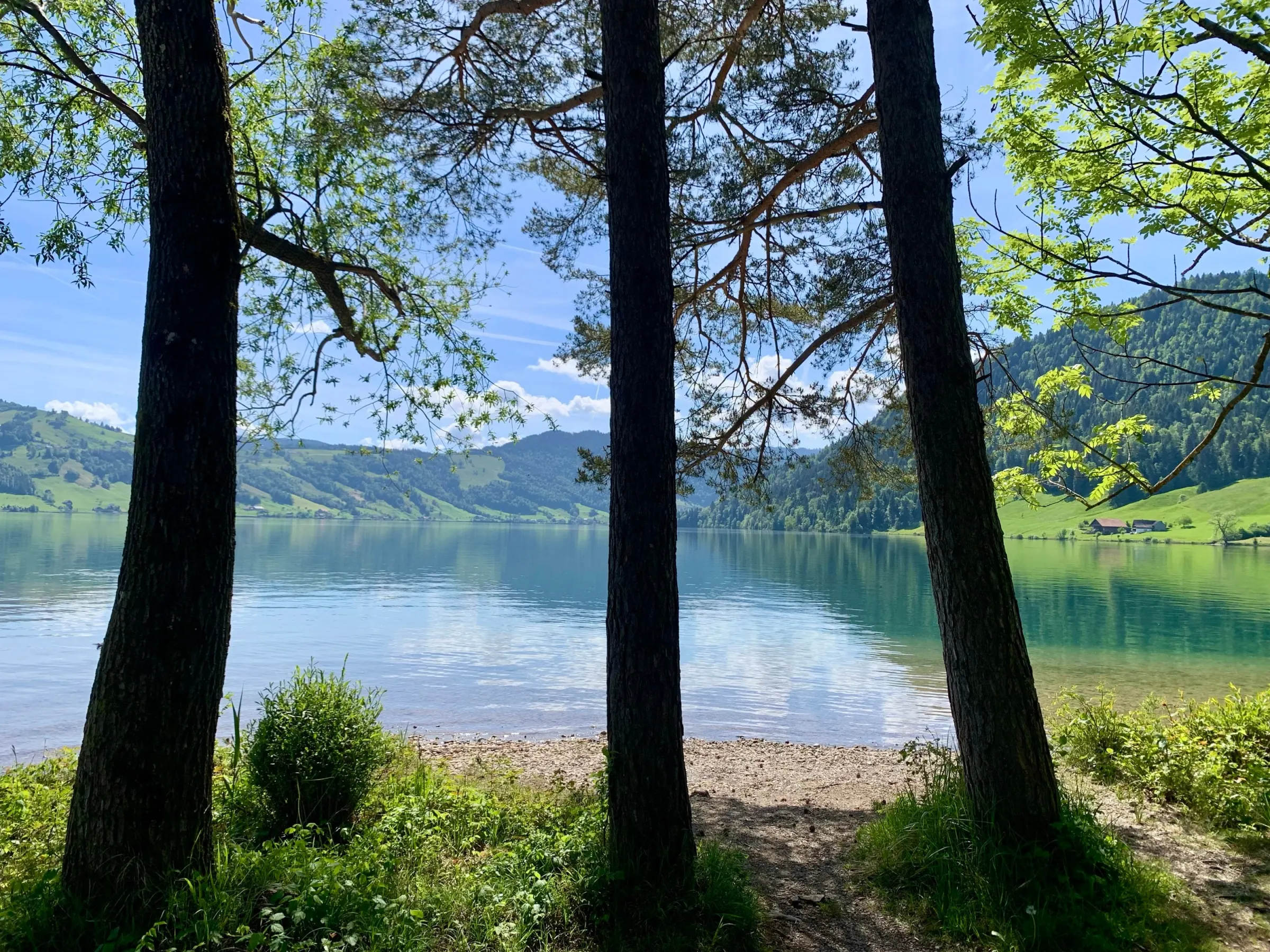 Lake Ägeri seen through the trees at Camping Unterägeri